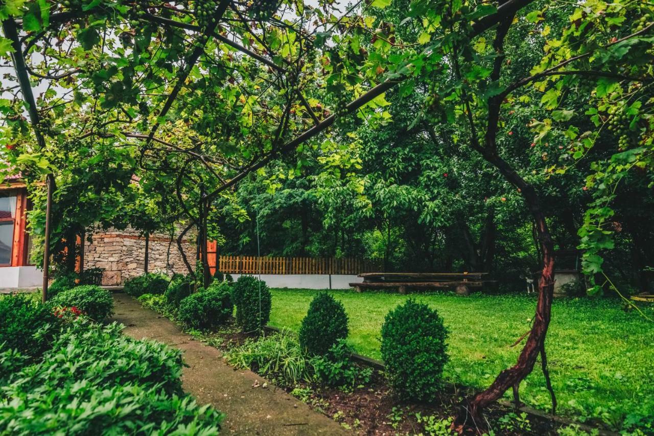 Завоя Otel Krushuna Dış mekan fotoğraf